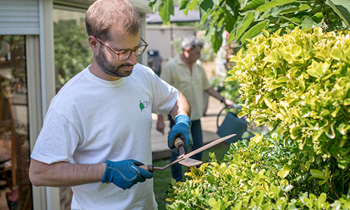 L'ADMR 35 s'occupe du jardinage et du bricolage